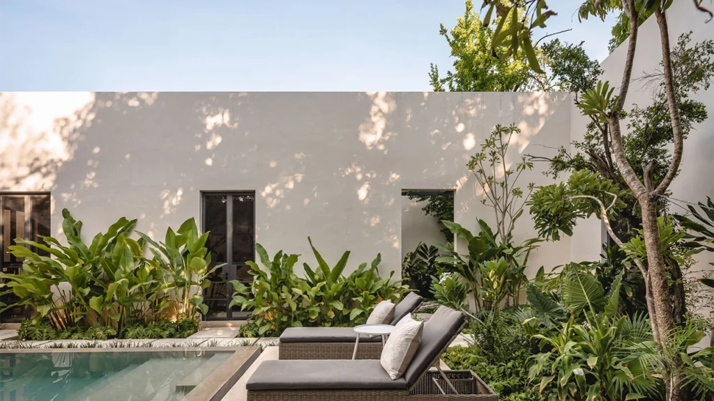 Preparación para superficies